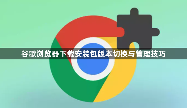 谷歌浏览器下载安装包版本切换与管理技巧1