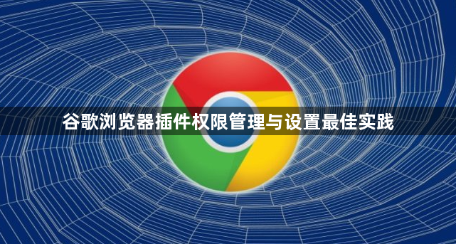 谷歌浏览器插件权限管理与设置最佳实践1