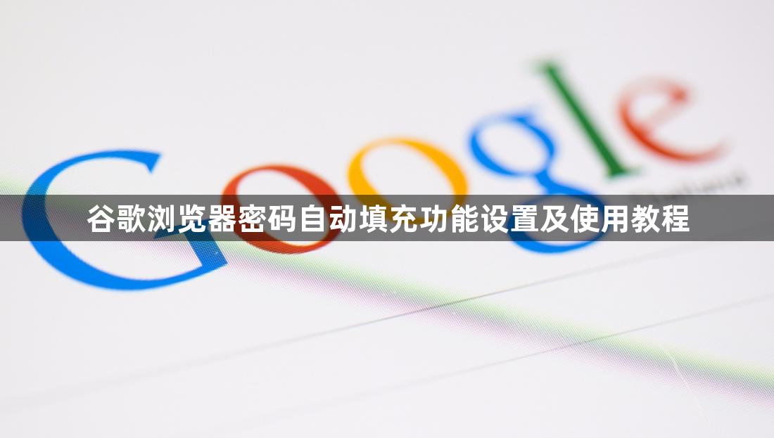 谷歌浏览器密码自动填充功能设置及使用教程1