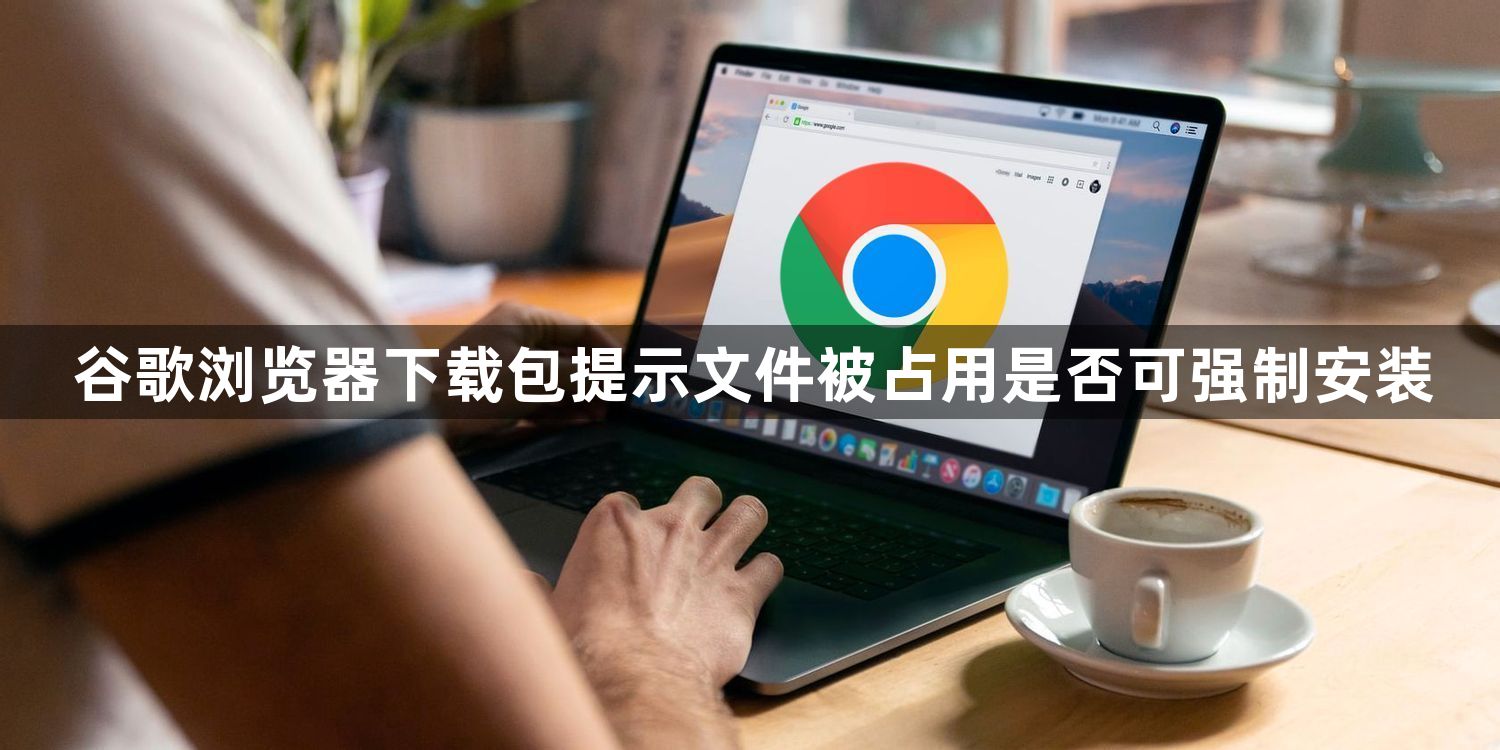 谷歌浏览器下载包提示文件被占用是否可强制安装1