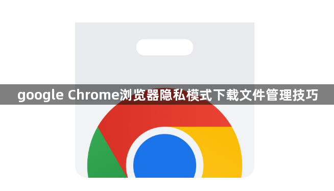 google Chrome浏览器隐私模式下载文件管理技巧1