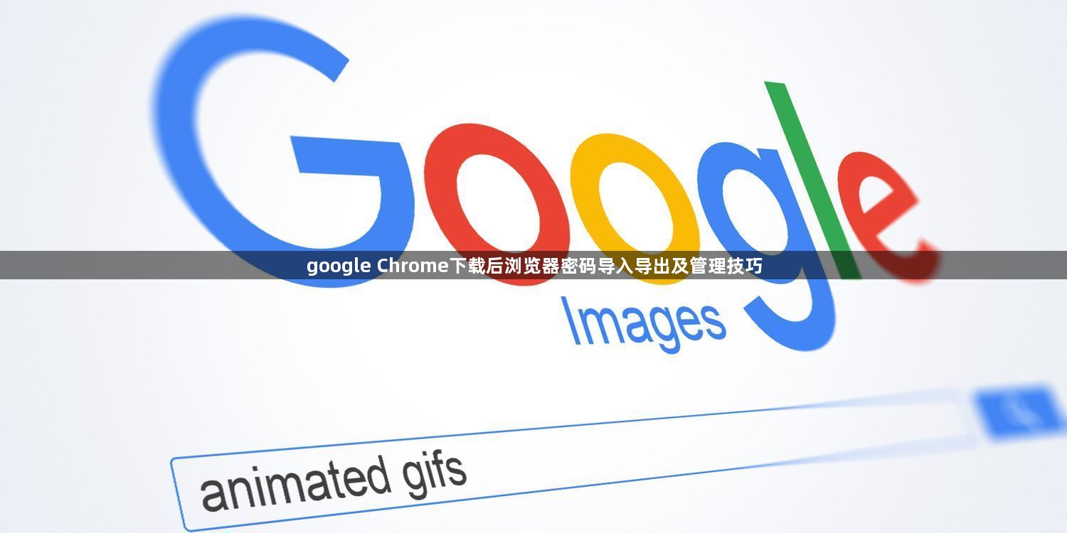 google Chrome下载后浏览器密码导入导出及管理技巧1