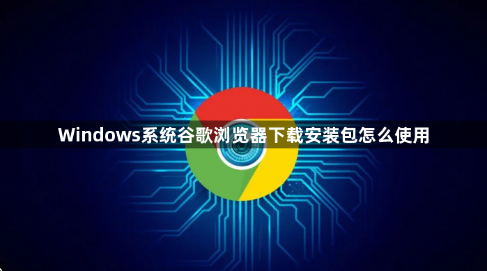 Windows系统谷歌浏览器下载安装包怎么使用1