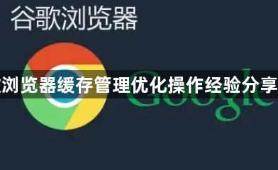 谷歌浏览器缓存管理优化操作经验分享技巧1