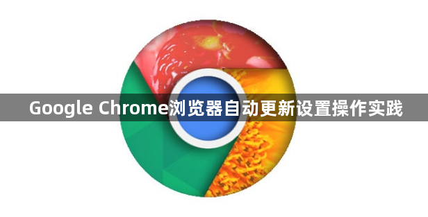 Google Chrome浏览器自动更新设置操作实践1