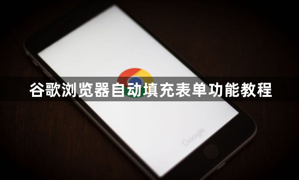 谷歌浏览器自动填充表单功能教程1