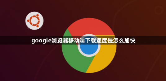 google浏览器移动端下载速度慢怎么加快1