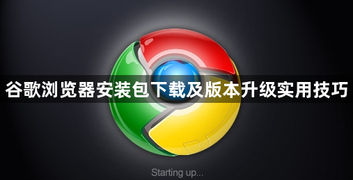 谷歌浏览器安装包下载及版本升级实用技巧1