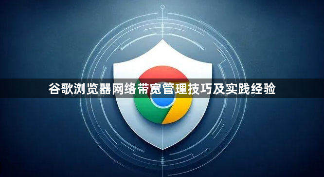 谷歌浏览器网络带宽管理技巧及实践经验1