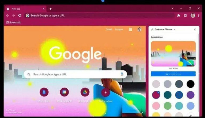 google Chrome浏览器下载及隐私模式设置技巧