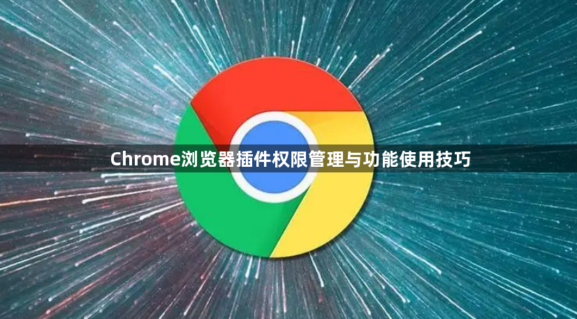 Chrome浏览器插件权限管理与功能使用技巧1
