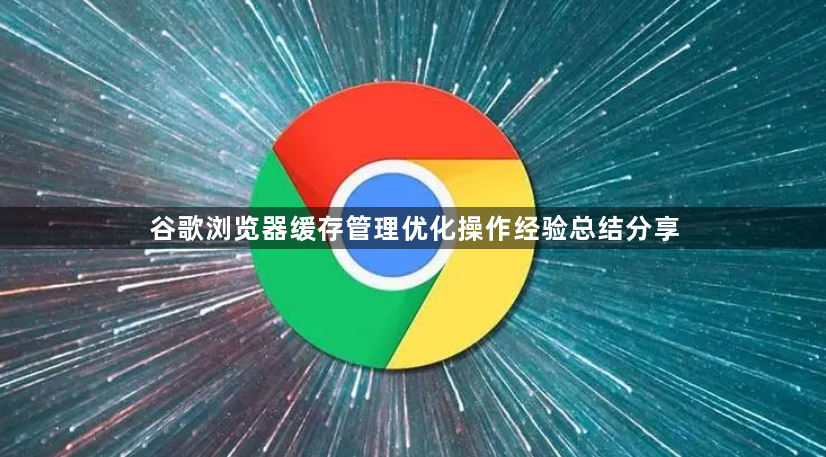 谷歌浏览器缓存管理优化操作经验总结分享1