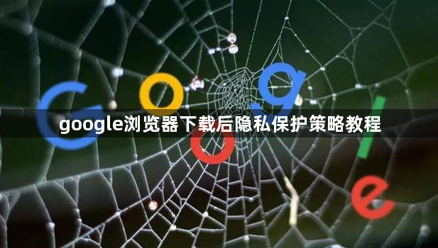 google浏览器下载后隐私保护策略教程1