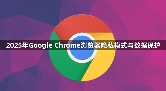 2025年Google Chrome浏览器隐私模式与数据保护1