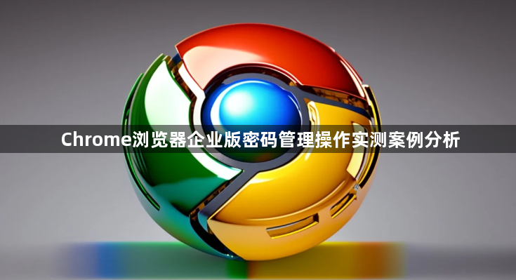Chrome浏览器企业版密码管理操作实测案例分析1