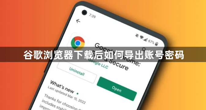 谷歌浏览器下载后如何导出账号密码1