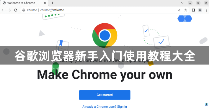 谷歌浏览器新手入门使用教程大全1