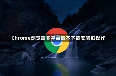 Chrome浏览器多平台版本下载安装包操作1