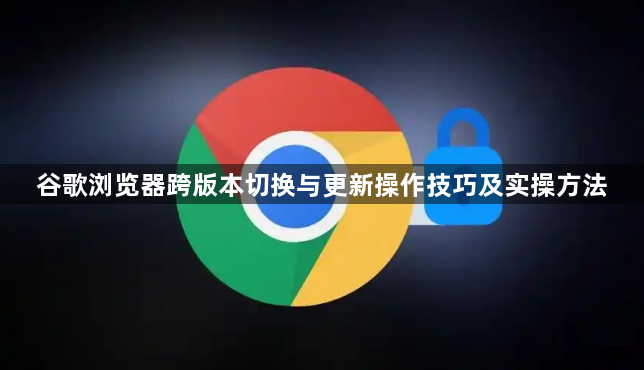 谷歌浏览器跨版本切换与更新操作技巧及实操方法1