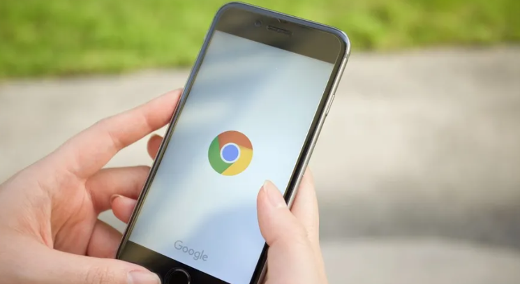 google Chrome浏览器离线包安装操作心得